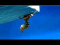 YouTube Ice Age 2 Teaser Trailer