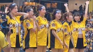 【Passion Sisters】#峮峮#小安#白白#Julia#夏蕾#畇二(OH MY BUDDY)#台湾チアリーディングチーム#中華職棒#CPBL#洲際棒球場#20240817火影主題日