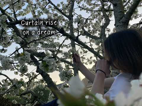 Curtain rise on a dream - Indy_msc