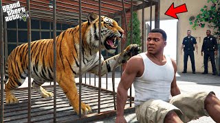 Download lagu Franklin Tries To Catch The Deadliest Tiger Of Los Santos In GTA 5 ! (GTA 5 Mods) mp3 Download lagu Franklin Tries To Catch The Deadliest Tiger Of Los Santos In GTA 5 ! (GTA 5 Mods) mp3