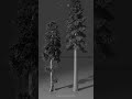 Hyperion, The tallest tree in the world