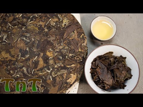 download lagu mp3 mp4 Fuding White Tea Price, download lagu Fuding White Tea Price gratis, unduh video klip Fuding White Tea Price