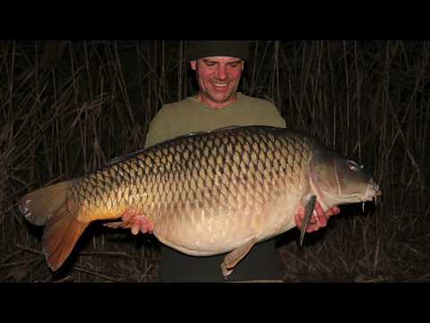 Carp Fishing in Italy - In Session