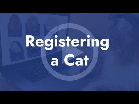 Registering a Cat