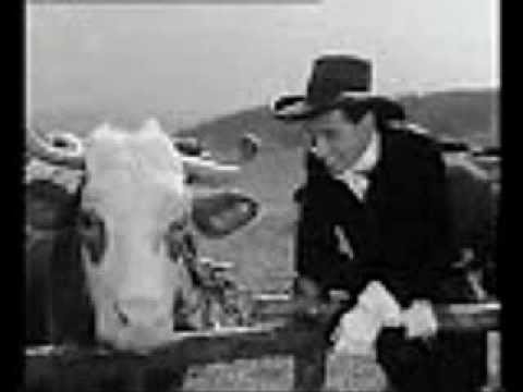 Karel Gott   Zloděj dobytka