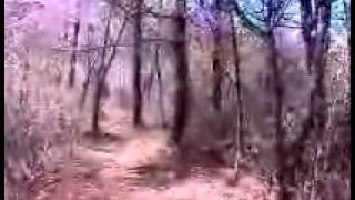 A   KOREA   MASAN   MUHAK   MOUNTAIN  FLOWERS  SPRING !.wmv