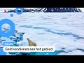 Landen maken ruzie: wie is de baas over de Noordpool