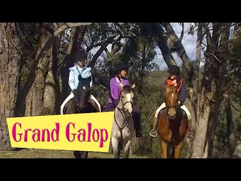 Grand Galop 203 - Une championne au Pin creux (Partie 1) | HD | Épisode Complet