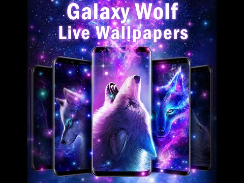 Night Sky Wolf Live Wallpaper Video