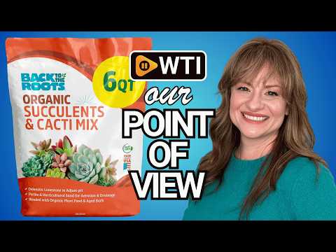 Back to the Roots 100% Organic Succulent & Cacti Mix (6 Quart) | Made in the USA | Premium Nutrition for Indoor and Outdoor Plants Suculent & Catcti Blend 6 Quart - WTI product video review