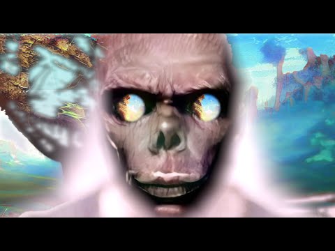 Video thumbnail for Mir-Cam Startup