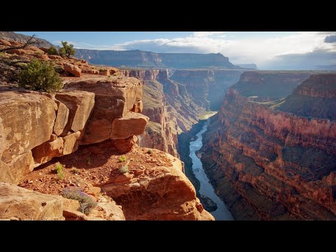 Bluegrass Compilation 4 - (ft. The Steep Canyon Rangers) - Traditional Bluegrass