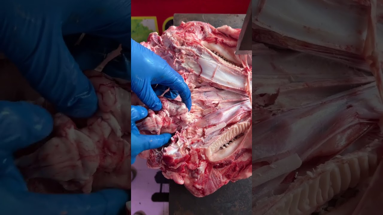 裝上腦白金禮盒 然後過年送領導