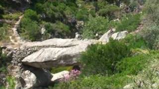preview picture of video 'Ikaria hiking -1- Myrsonas canyon'