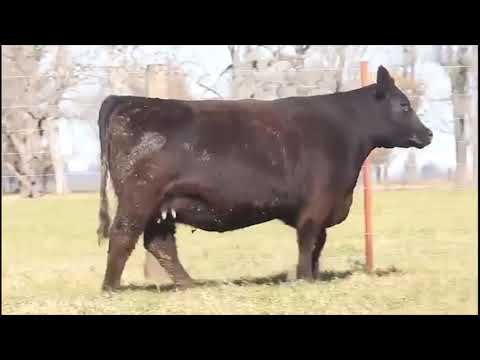 RP 15224 - Remate de Cabaña La Paz de Werthein - Sábado 22 de Agosto de 2020