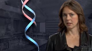 The DNA Double Helix Discovery — HHMI BioInteractive Video