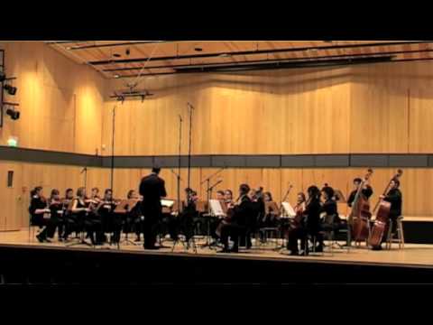 Anders Eliasson - Ostácoli (1987)