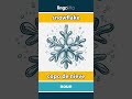snowflake - copo de nieve video thumbnail