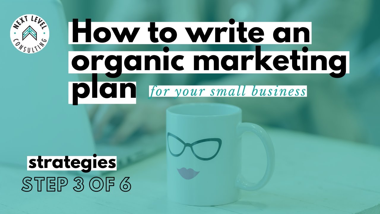Small Business Marketing Strategies | Next Level Consulting | How to write an organic marketing plan