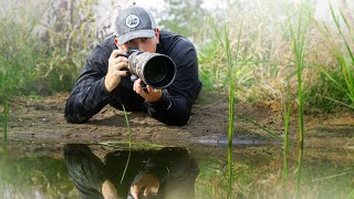 WILDLIFE Photography at my DIY Nature Pond