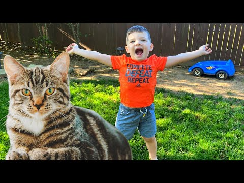 Caleb Backyard Adventure Story with Kitty Cat Pet!