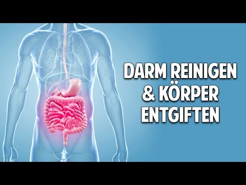DARM REINIGEN & KÖRPER ENTGIFTEN - Die unglaubliche Kraft der Bitterstoffe