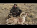 Охота на барана Марко-Поло. Киргизия. 