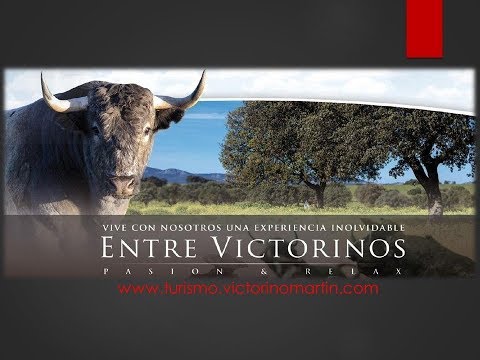 En la ganadería de Victorino Martín embarcan sus reses para la corrida de Soria.