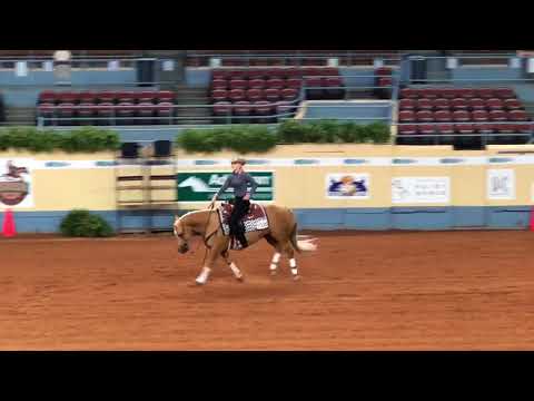 2018 NRHA DERBY YOUTH 14-18 Sunday