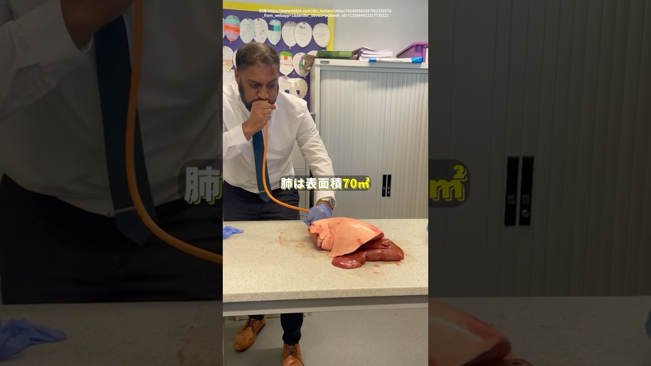 【意外と知らないトリビア】 #shorts #雑学 #トリビア #tiktok教室 #衝撃映像 #tiktokviral #viralvideo