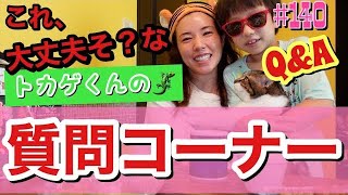 UberEats食べながらトカゲくんが質問に答えていくけど答えになってないし母の愚痴大会で何これって感じの動画でぇ〜す?