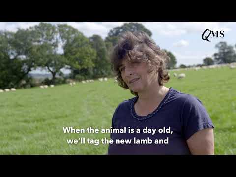 2018 AgriScot Scottish Sheep Farm of the Year