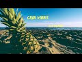 Crib Vibes G S Troyce
