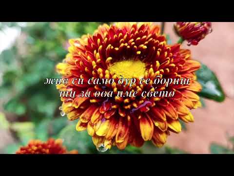 Сети се на Радуша - Андријана Јаневска