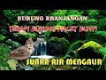 Masteran Burung Branjangan Mix Suara Gemericik Air Mengalir Pancingan Semua Jenis Burung