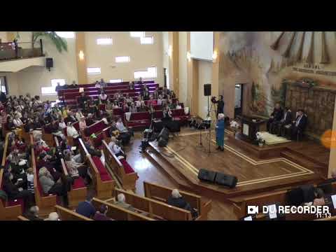 Ro USA Mission Lenuta Vereș