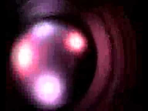 SIRE | Slechthorendheid | 1997
