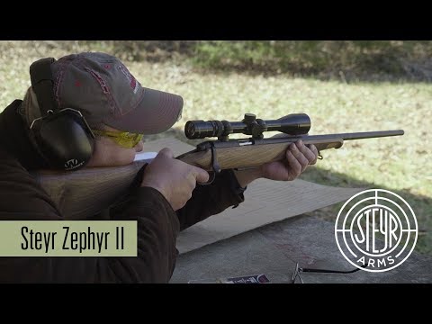 Steyr Arms - Zephyr II