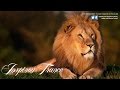Meck Ft. Dino - Feels Like Home (Marco V Remix ...