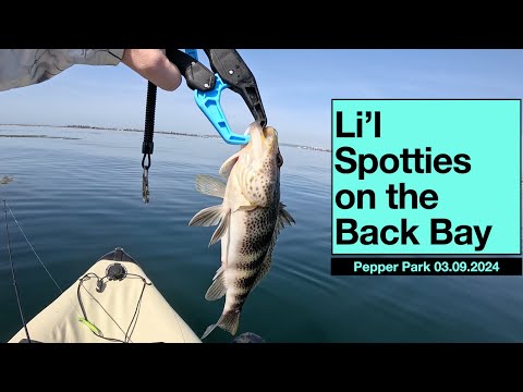 Li'l Spotties on the Back Bay | Pepper Park | San Diego Bay #fishing #kayakfishing #bassfishing