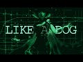 LIKE A DOG Ferry Minari Solaria Cover PAFL