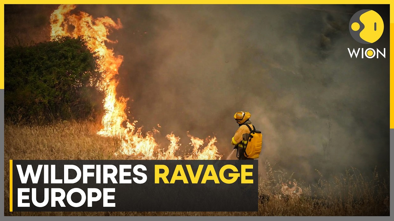 Europe Wildfires: Highest Level of Evacuation Alert in Effect | WION News