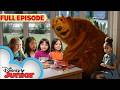 Breakfast With Bear First Full Episode Kayla Of Poughkeepsie NY S1 E1 ‪‪ Disneyjr