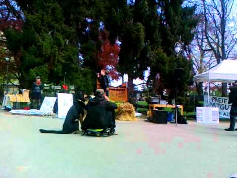 Steff la Chef Saatgutkampage