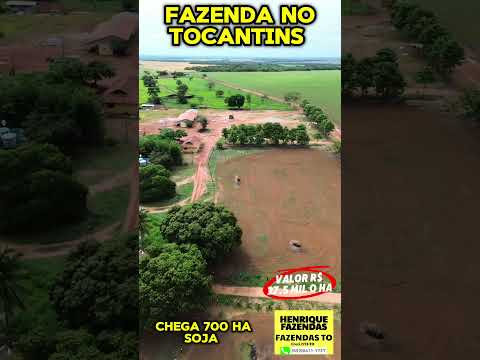 FAZENDA ESTADO DO TOCANTINS 1.811 HENRIQUE FAZENDAS TOCANTINS CRECI 2731 (63)98411-1737