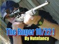 Ruger 10/22: The Everyman's Rifle, Part 1 