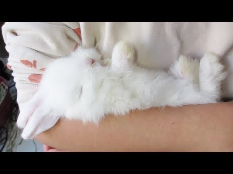 YouTube 썸네일