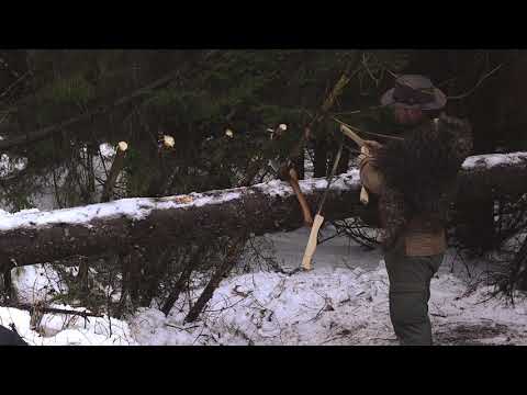 Natural Shelter Wild fire and Bear tracks