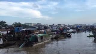 Fuvico family. Cho noi cai rang 2016