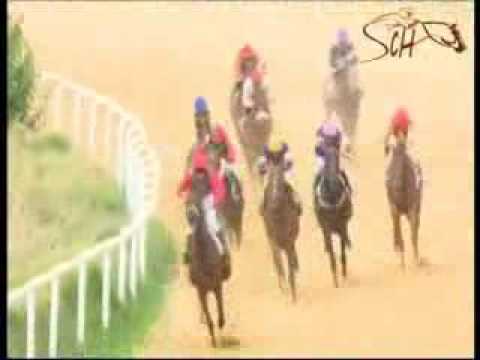 Journee du 12 JUIN 2016 - Magturf.com - Hippodrome de Ksar Said